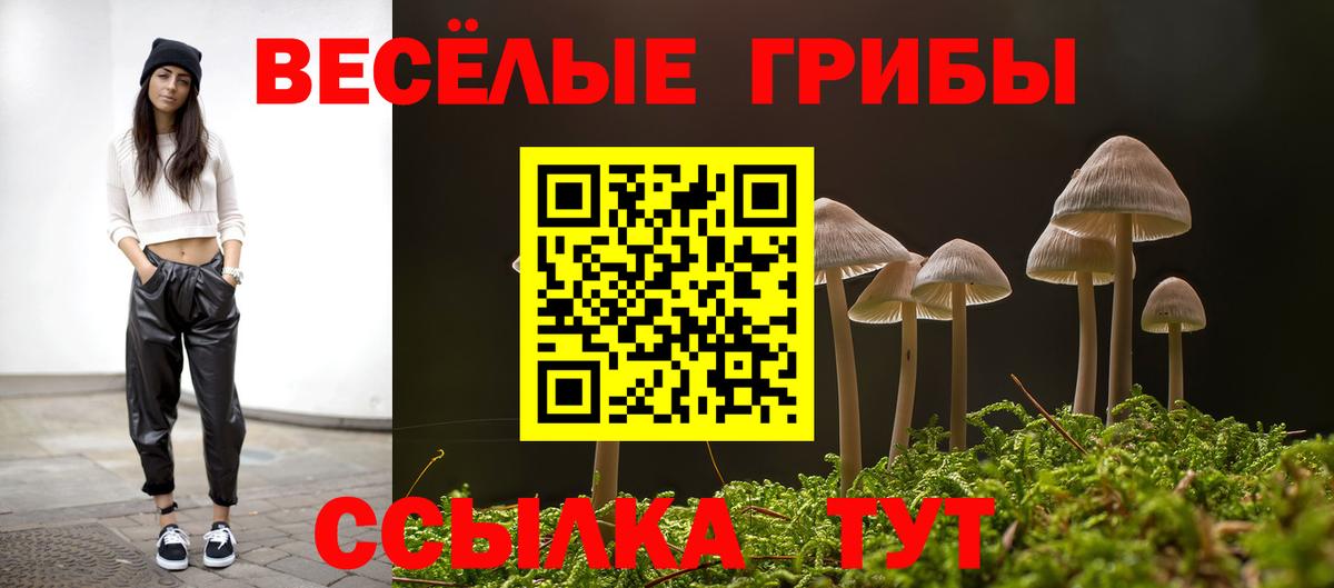 цены   Галлюциногенные грибы Magic Shrooms  Вход с VPN  Ноябрьск 